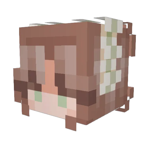 Charry7890 Minecraft avatar head, 3D render