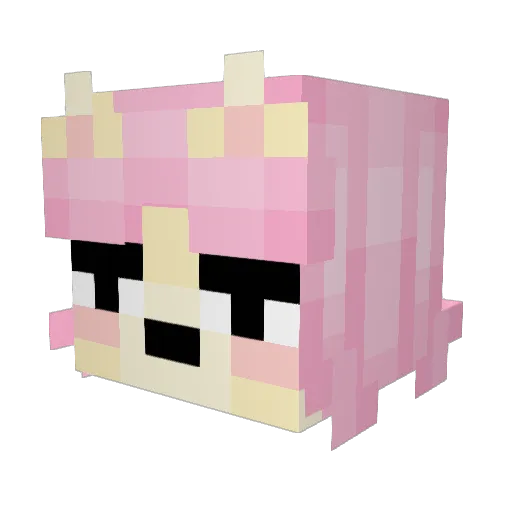 Charry996 Minecraft avatar head, 3D render