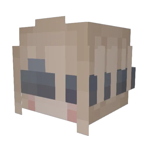 Charuben Minecraft avatar head, 3D render