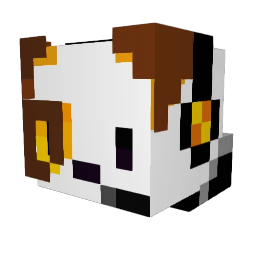 Charzard389 Minecraft avatar head, 3D render