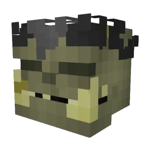 Chas120 Minecraft avatar head, 3D render