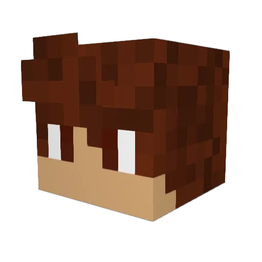 Chase903 Minecraft avatar head, 3D render