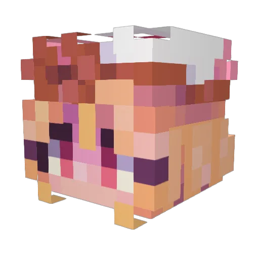 ChaseBrownie Minecraft avatar head, 3D render