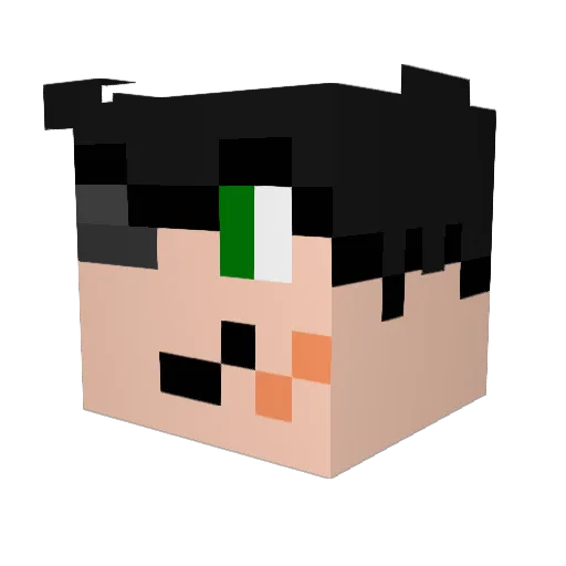 ChaseMcFox Minecraft avatar head, 3D render