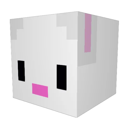 ChaseOHara Minecraft avatar head, 3D render