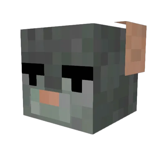 ChaseOwO Minecraft avatar head, 3D render