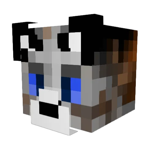 ChasePlayz_2005 Minecraft avatar head, 3D render