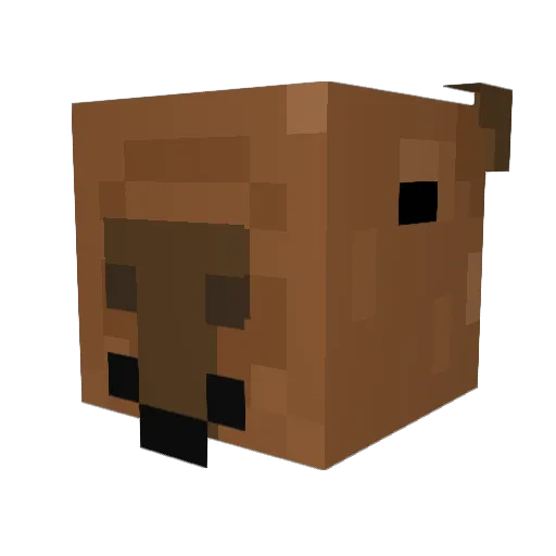 ChasePlayzzYT Minecraft avatar head, 3D render