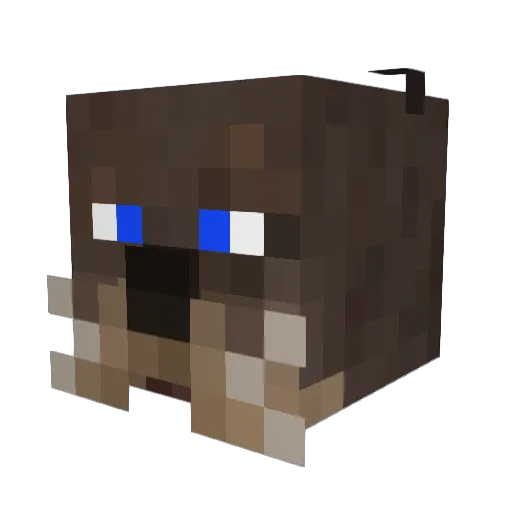 ChaseTheOttah Minecraft avatar head, 3D render