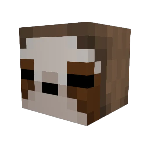 Chasenadream Minecraft avatar head, 3D render