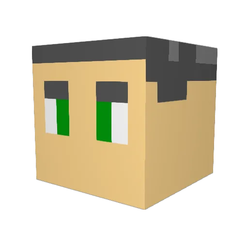 Chasencashx Minecraft avatar head, 3D render
