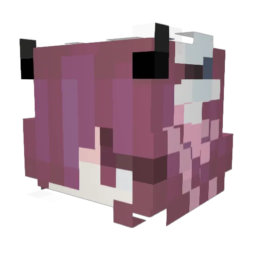 Chaser0n Minecraft avatar head, 3D render