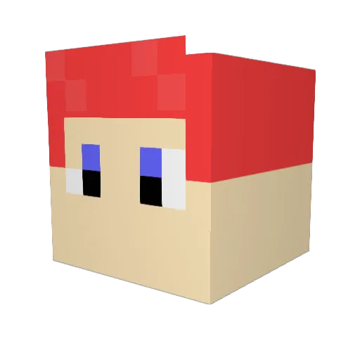 ChasetheQT Minecraft avatar head, 3D render