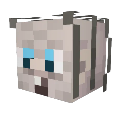 ChaseyBoyyy Minecraft avatar head, 3D render