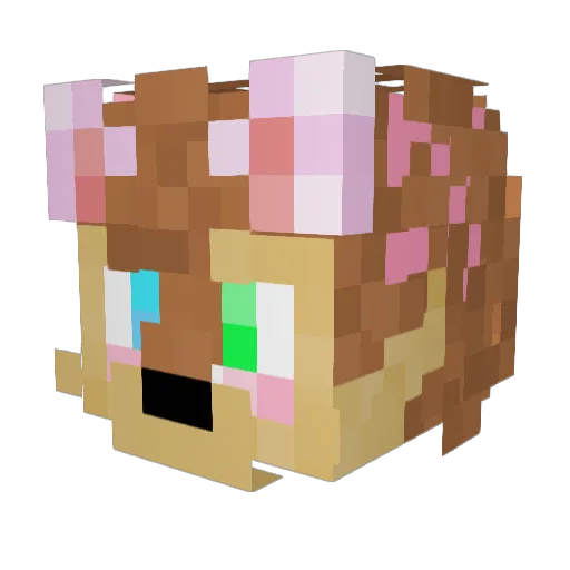 Chasey_Fluff Minecraft avatar head, 3D render