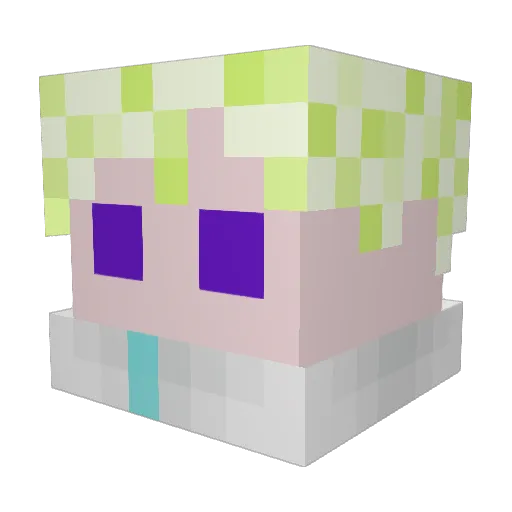 Chasfloppybob Minecraft avatar head, 3D render