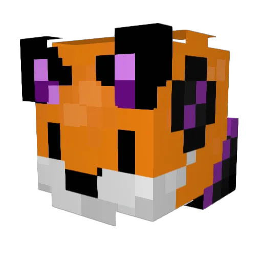 Chasi_1 Minecraft avatar head, 3D render