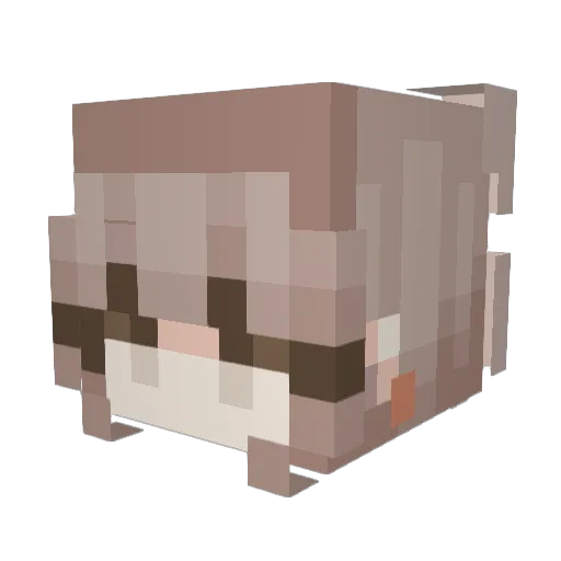 ChasingGhxsts Minecraft avatar head, 3D render