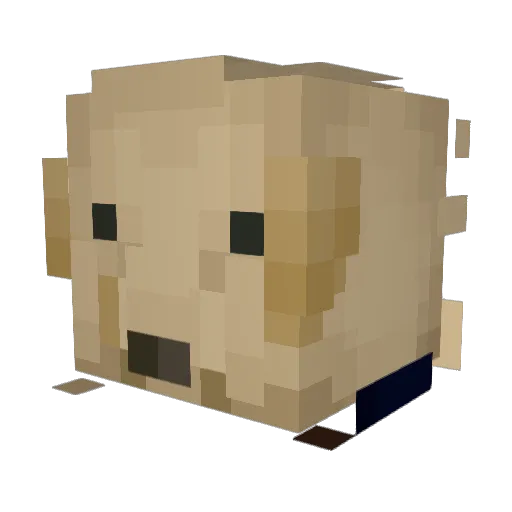 Chasubi Minecraft avatar head, 3D render