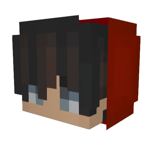 ChatShitGetSplit Minecraft avatar head, 3D render