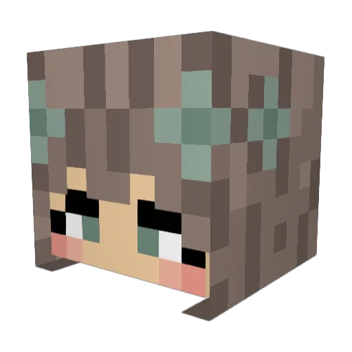 Chat__aigne Minecraft avatar head, 3D render