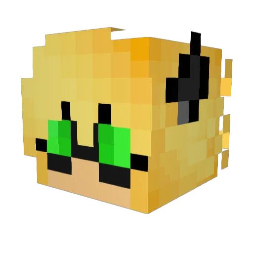 Chat_pooh Minecraft avatar head, 3D render