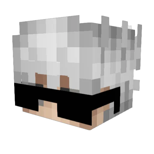 Chatnoiretblanc Minecraft avatar head, 3D render