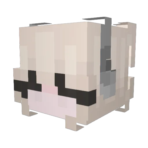 Chaton16 Minecraft avatar head, 3D render