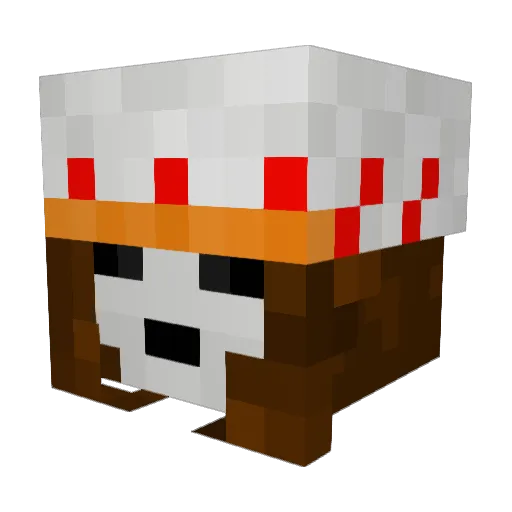 ChatsNoirs Minecraft avatar head, 3D render