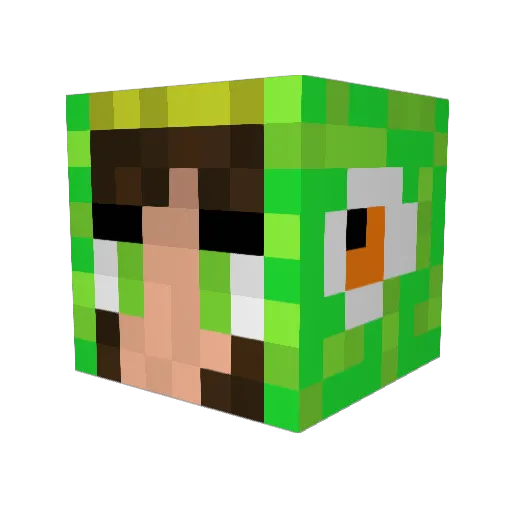 ChattyChatot Minecraft avatar head, 3D render