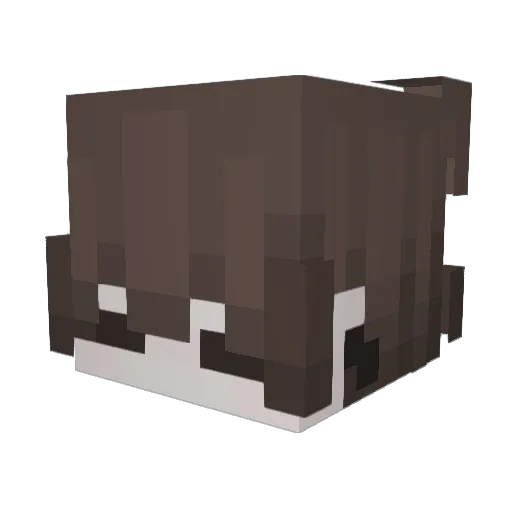 Chaufa__ Minecraft avatar head, 3D render