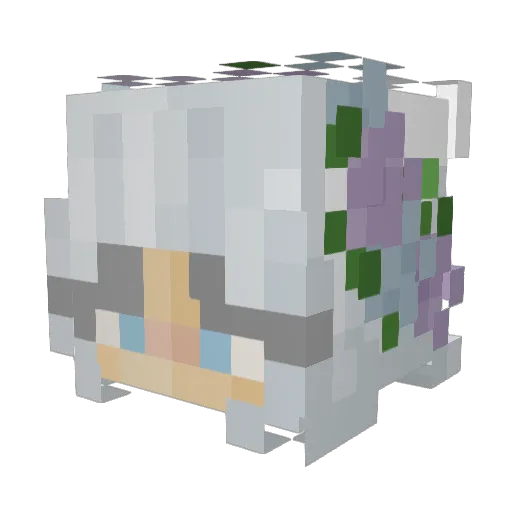 Chav19 Minecraft avatar head, 3D render