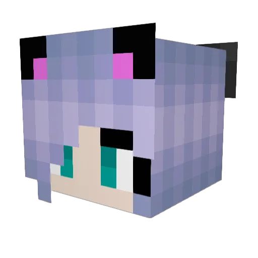 Chavez_Garcia Minecraft avatar head, 3D render