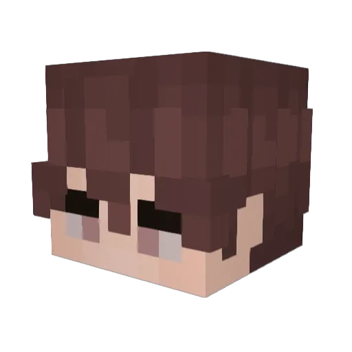 ChavistaPorVida Minecraft avatar head, 3D render