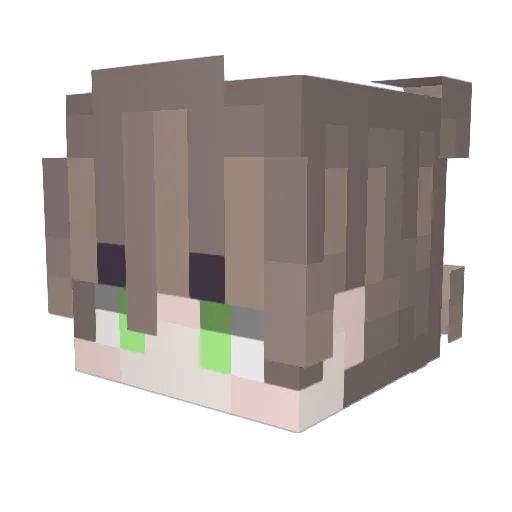 Chawista Minecraft avatar head, 3D render