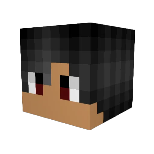 ChayseYourDreams Minecraft avatar head, 3D render