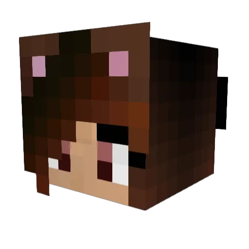Chaytos Minecraft avatar head, 3D render