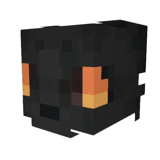 Chazland12345 Minecraft avatar head, 3D render