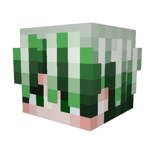 ChazuGT Minecraft avatar head, 3D render