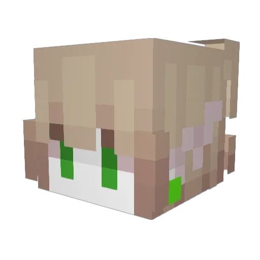 Chazwoz Minecraft avatar head, 3D render