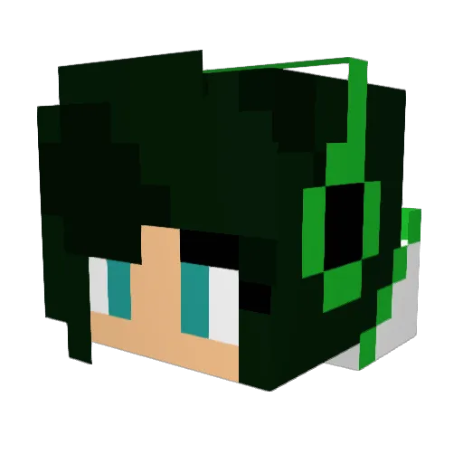 Che5hie_CAT Minecraft avatar head, 3D render