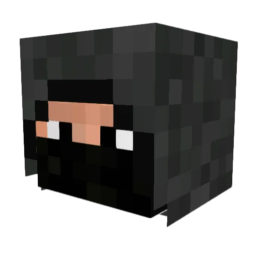 CheSTeR_1 Minecraft avatar head, 3D render