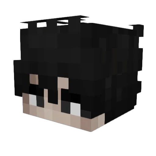 Cheater_Skyz Minecraft avatar head, 3D render