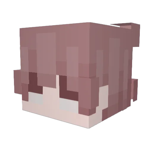 CheatingCatboy Minecraft avatar head, 3D render