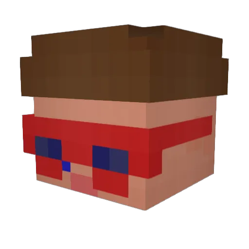 CheckMyDickPlz Minecraft avatar head, 3D render