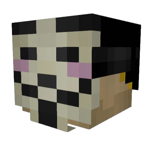 CheckYourWallsM8 Minecraft avatar head, 3D render