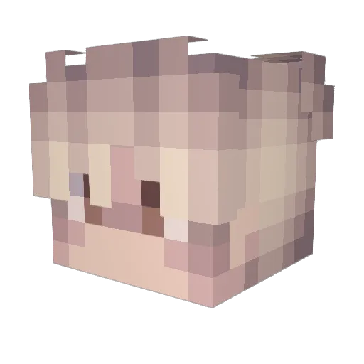Check_RBLX Minecraft avatar head, 3D render