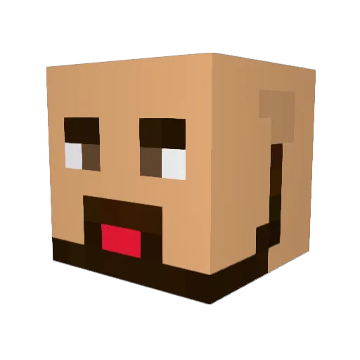 Checky84 Minecraft avatar head, 3D render