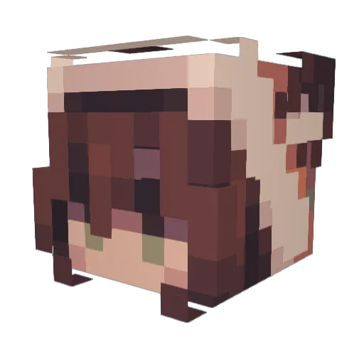 CheddaDawg Minecraft avatar head, 3D render