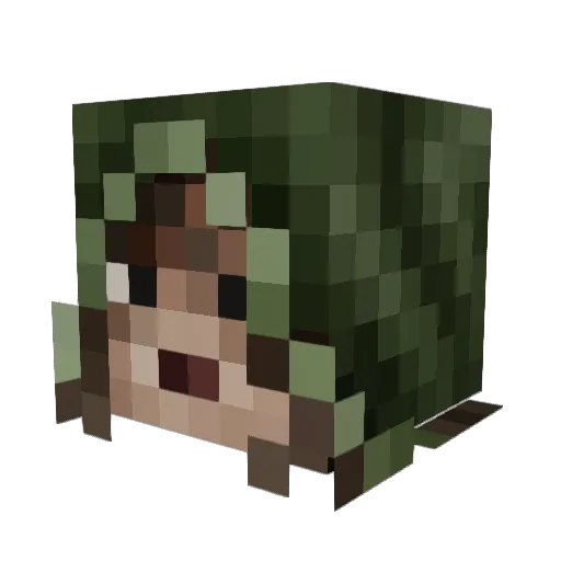 Chedinater Minecraft avatar head, 3D render